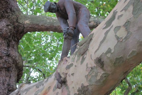 Hombre serrando una rama, Amsterdam (Holanda)