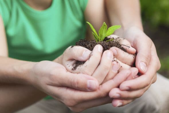 Esfuérzate un poco. Nutrir una relación implica dedicarle tu tiempo al otro y demostrarle tu aprecio.