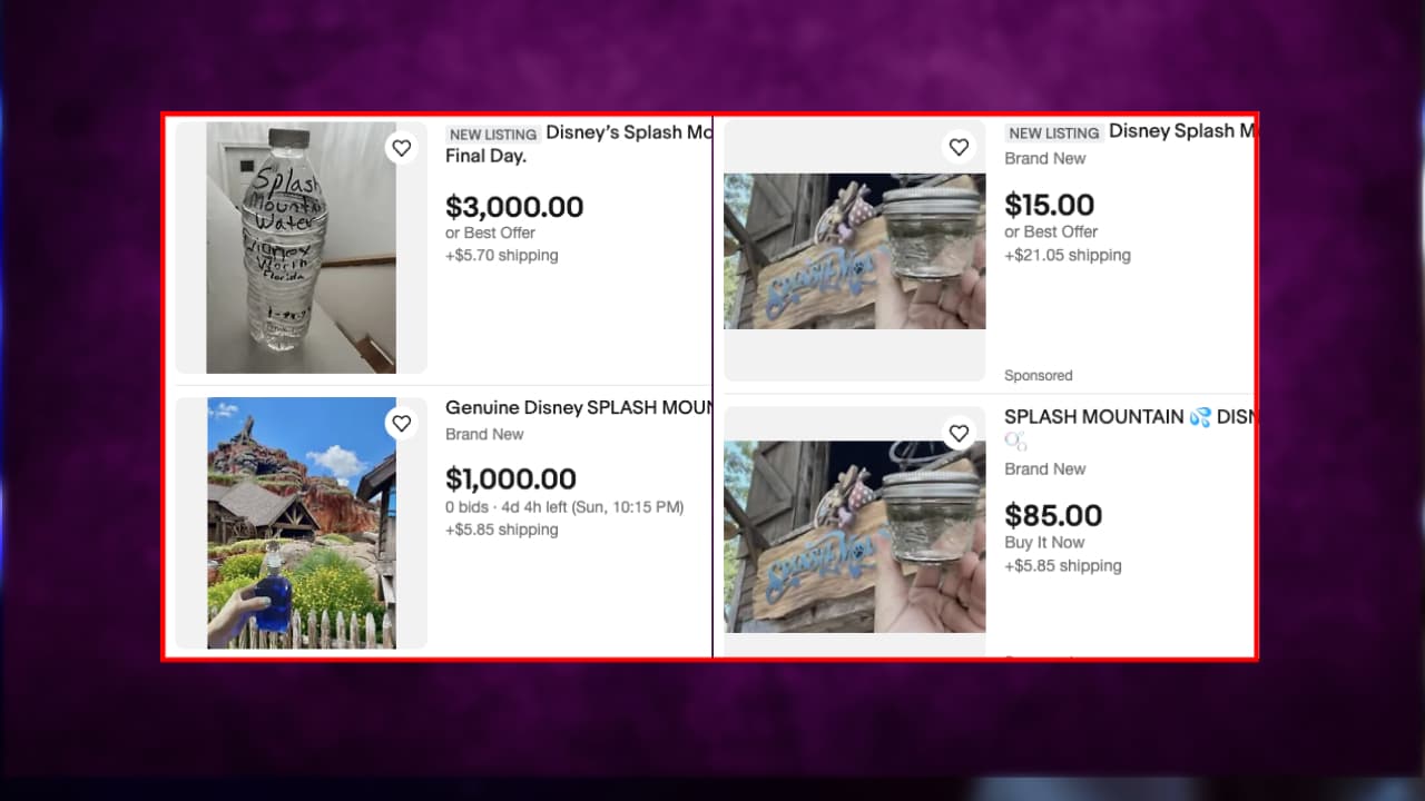 Venta de agua de Splash Mountain en eBay