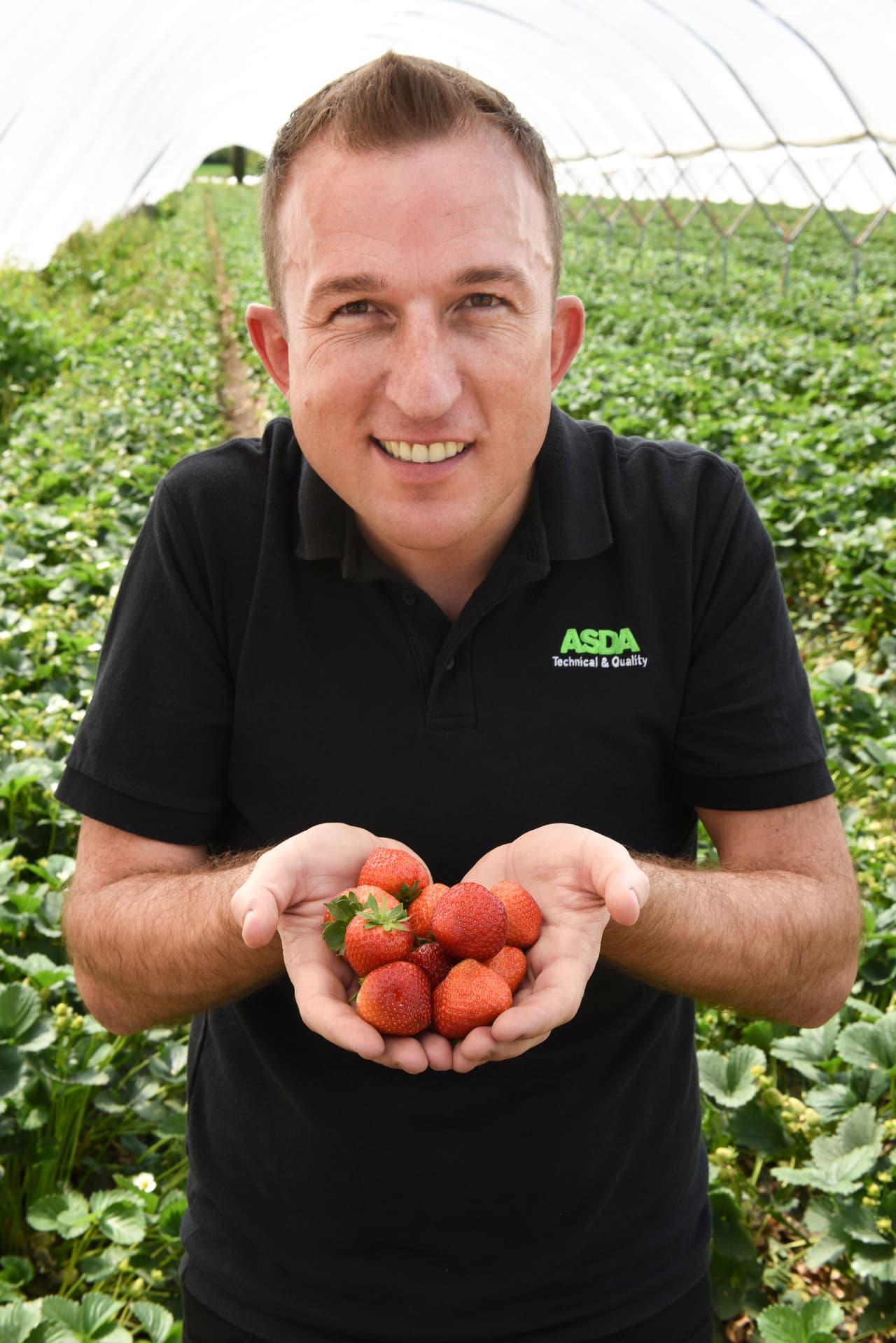 No puedes negar que se ven deliciosas.