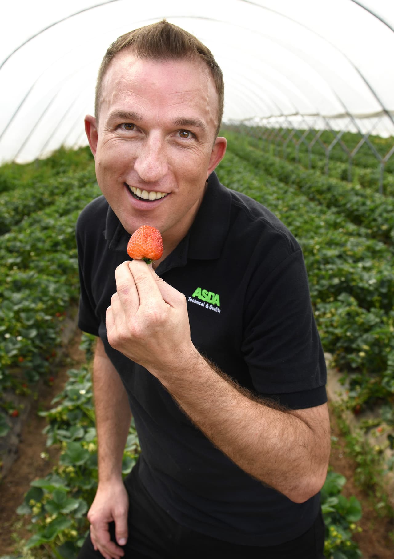 Las fresas tienen un alto contenido en magnesio, potasio y vitamina K, que ayudan a potenciar la salud de los huesos. Así que, seguro Artur no tendrá problemas de sobrepeso, ni de huesos.