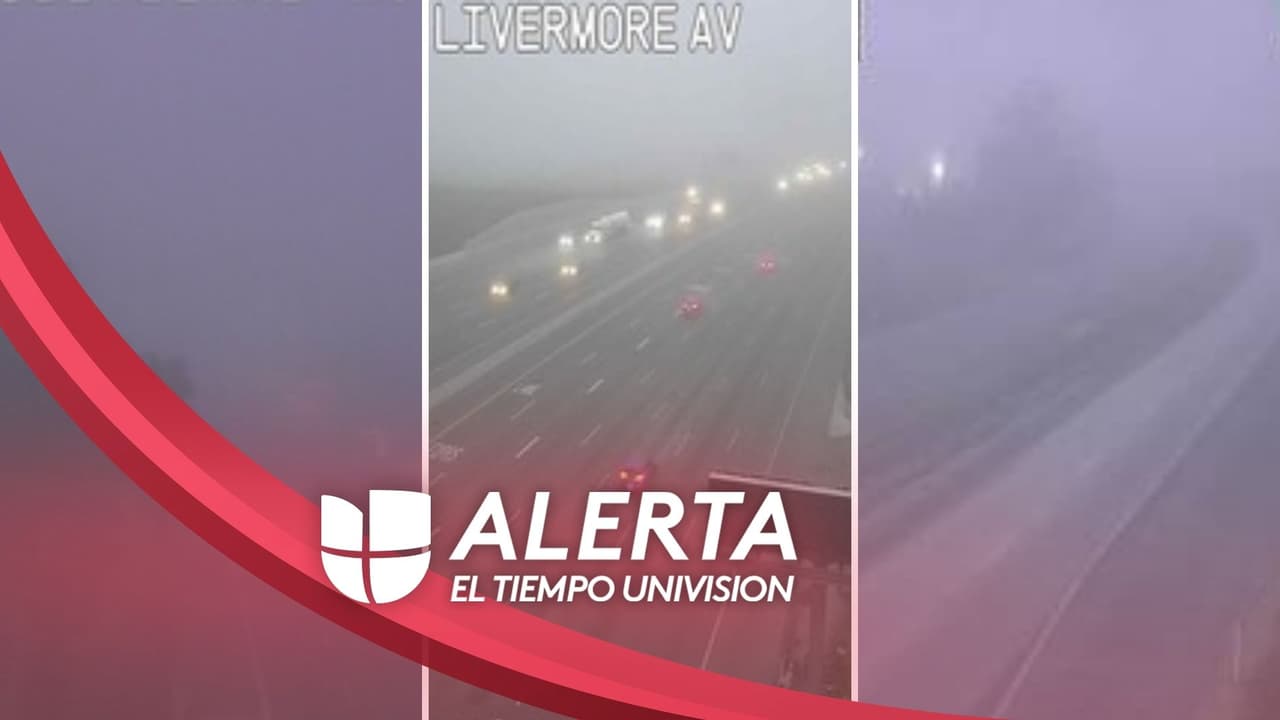 Emiten aviso de niebla densa en algunas zonas del Área de la Bahía hasta el mediodía