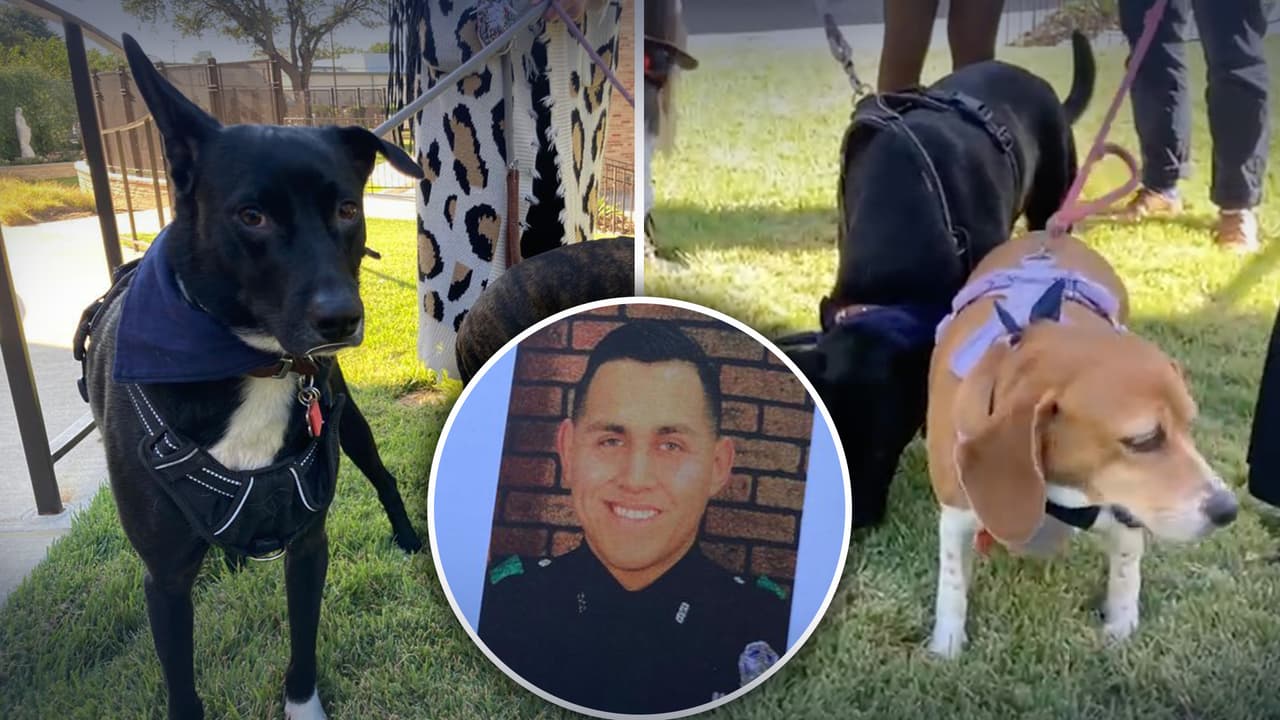 Despiden en funeral al oficial Jacob Arellano, quien fue chocado por una conductora presuntamente ebria