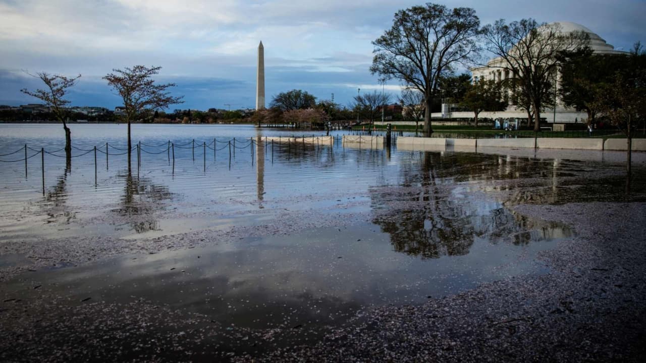 Alerta por tormentas en DC: advierten riesgo de inundaciones en varias zonas