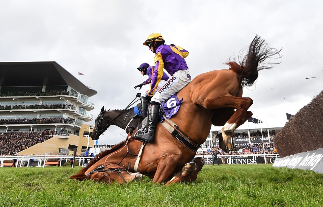 <b>‘Cayendo al final’</b>
<br>
<br>Obtuvo el segundo lugar en la categoría ‘deportes en acción’. Muestra la aparatosa caída de un caballo durante una carrera en Cheltenham, Reino Unido.
<br>
<br>El premio SIPA recibe cada año cerca de 50,000 imágenes de fotógrafos profesionales y aficionados de todo el mundo, que compiten en 11 diferentes categorías.