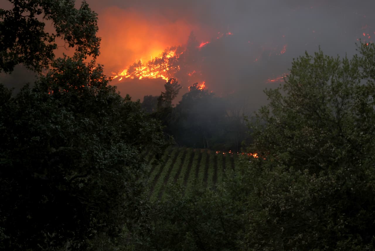 El incendio de maleza 
<a href="https://www.univision.com/local/san-francisco-kdtv/incendio-en-napa-explota-a-11-000-acres-y-amenaza-con-destruir-8-500-viviendas">comenzó alrededor de las 3:50 am</a> del domingo cerca de la cuadra 200 de North Springs Road y su origen continúa bajo investigación. Por ahora arde sin control al oeste de las ciudades de Calistoga y Santa Helena, en el condado Napa; y al noreste de Santa Rosa, en el condado Sonoma.