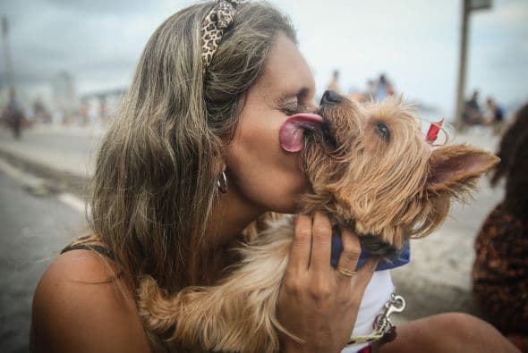 #1 Las mascotas no se hacen las difíciles.