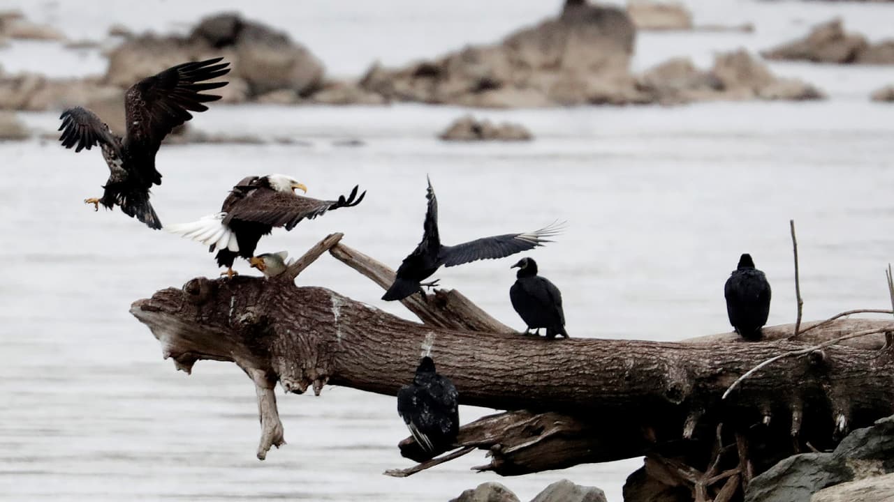 “Yo recomiendo que, si hay alguna poción o cosa que te dicen que va a funcionar, platícala con tu profesional de la salud. Muchos de nosotros tenemos la mente abierta porque sabemos que algunas cosas pueden llegar a funcionar”, agregó Varón.