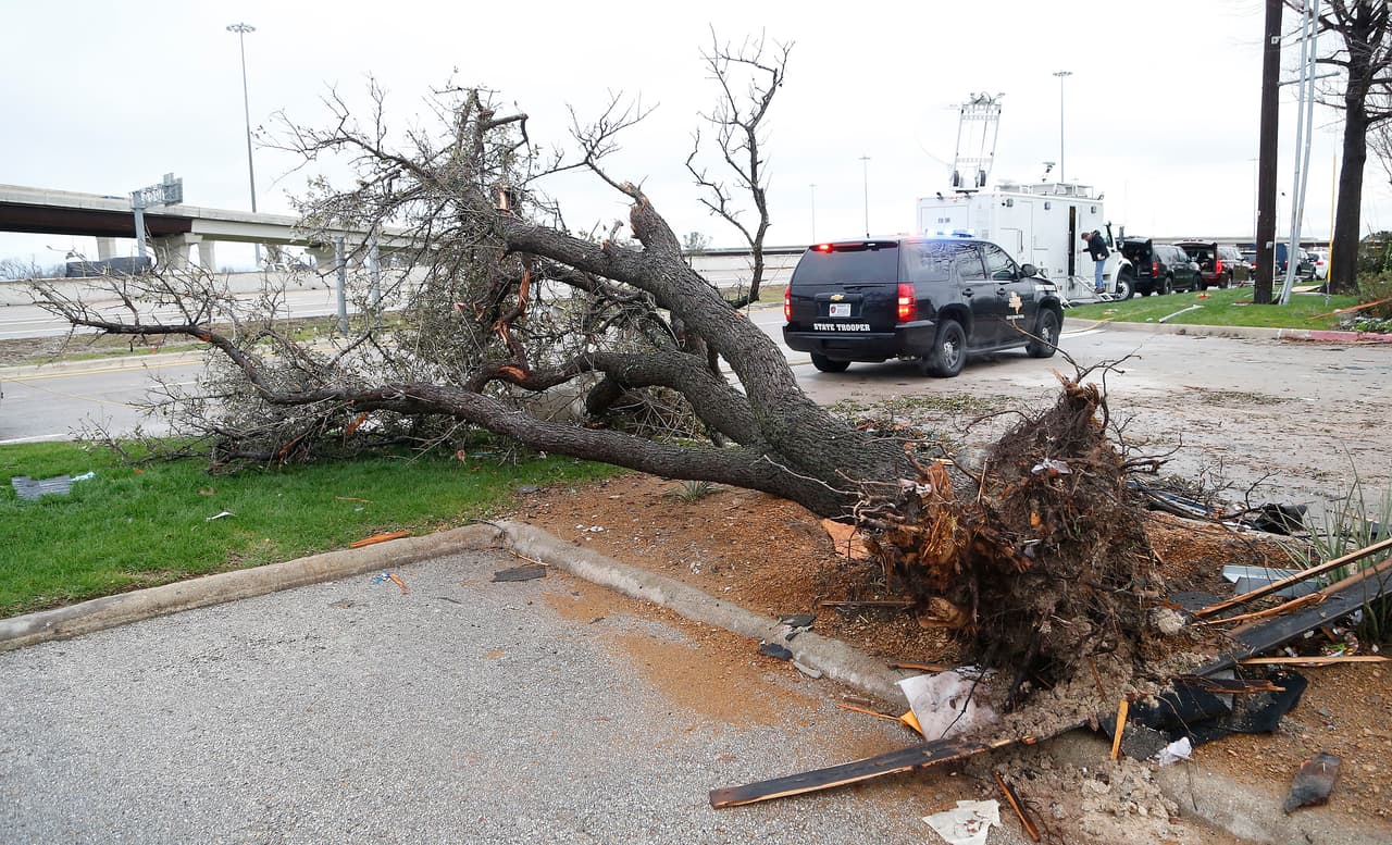 Un árbol destrozado en Garland, Texas.