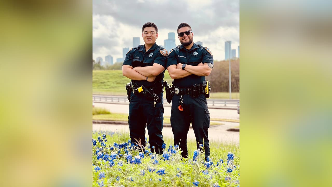 Tenga cuidado cuando camine entre las flores
<b>porque podría encontrarse con serpientes.</b>
