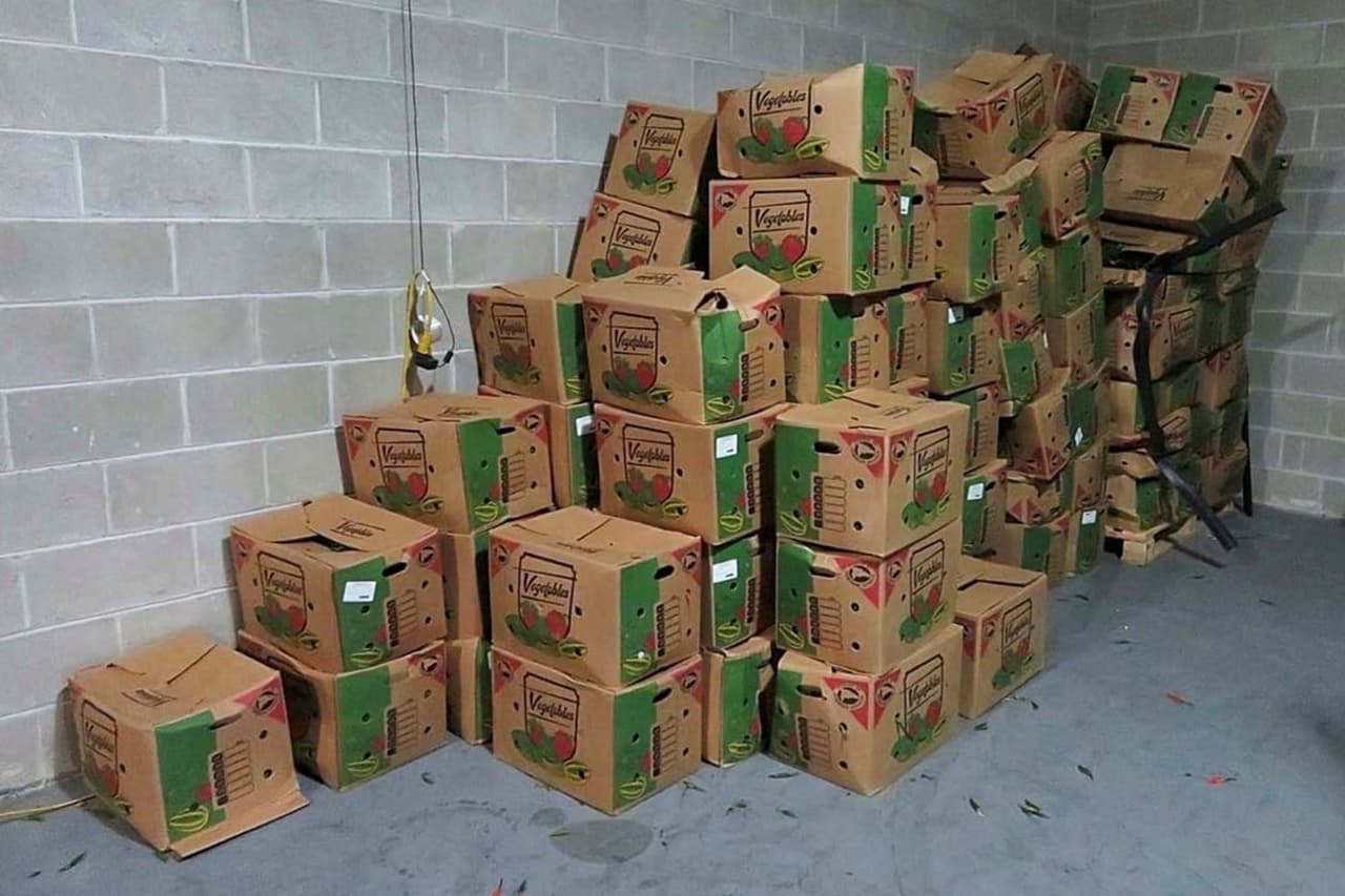 Lo que hizo la DEA para atrapar a un empresario que movió cocaína en cajas de chile morrón