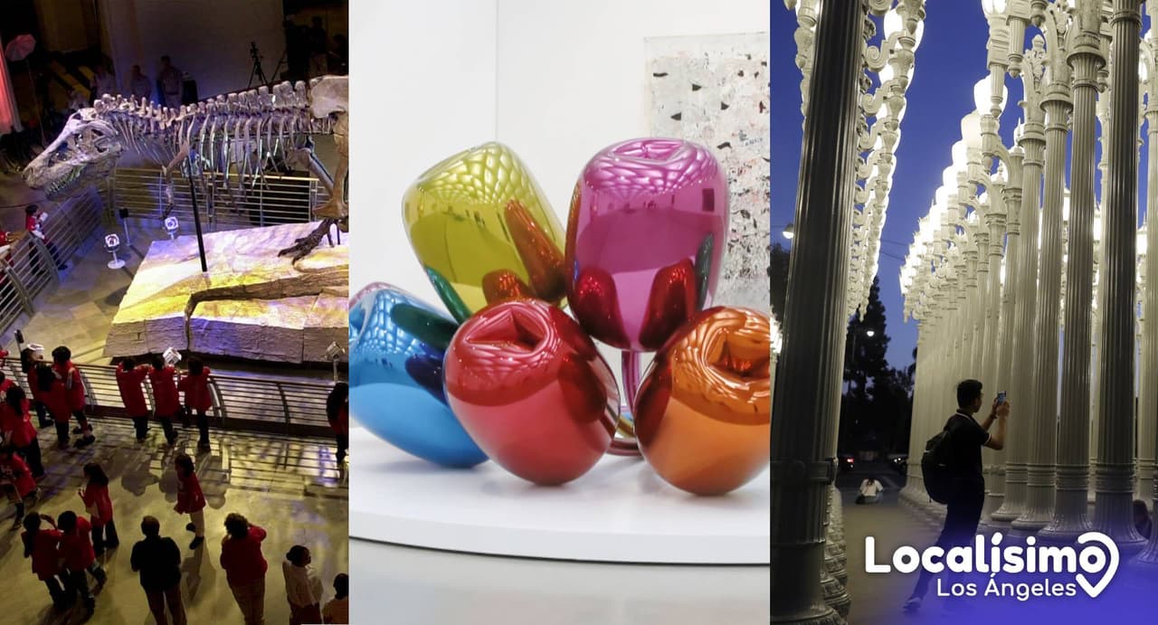 Los 10 mejores museos de la ciudad de Los Ángeles