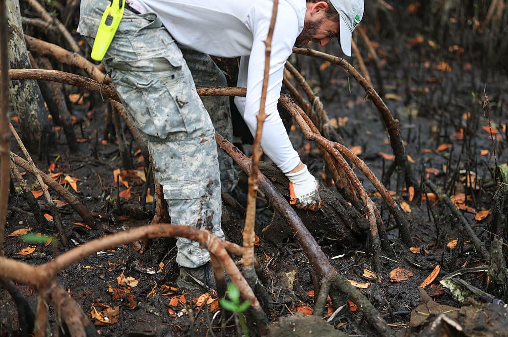 Otazo usa guantes y botas especiales para su trabajo de recolección de basura en los manglares.
