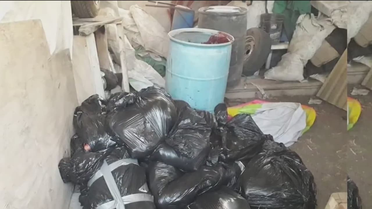 14 cuerpos desmembrados en 18 bolsas plásticas: otro macabro hallazgo en una finca en Jalisco 