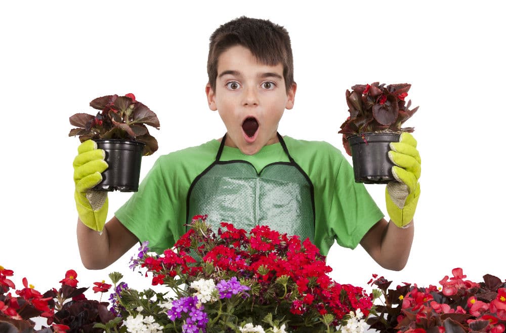 Pon a tu familia en contacto con la Tierra