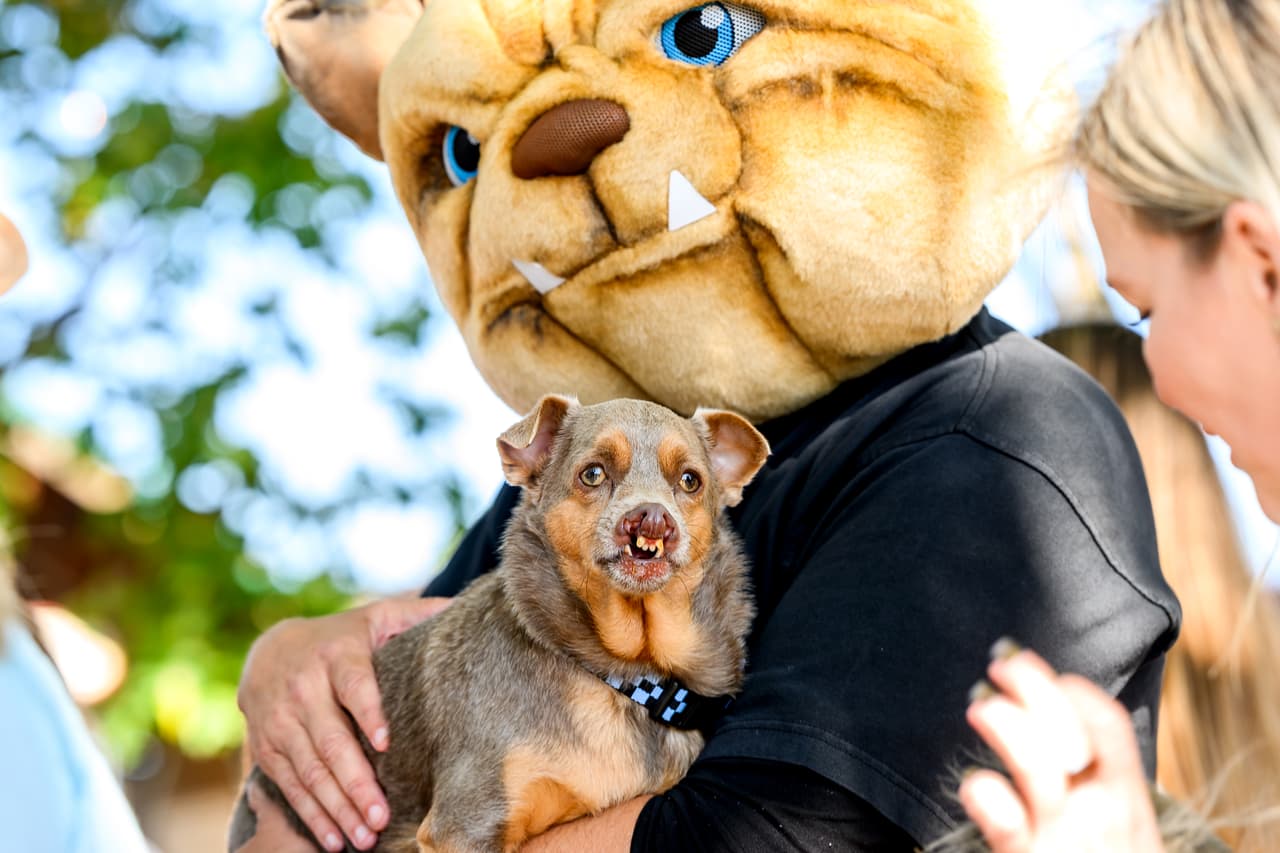 Otra foto de Otto, el perrito mestizo que ganó el tercer lugar.