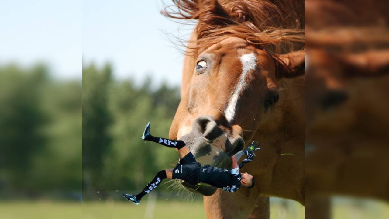 Santos sacó convocatoria pata hacer memes de Jonathan Orozco y el resultado sorprendió a todos. Te dejamos los mejores.
