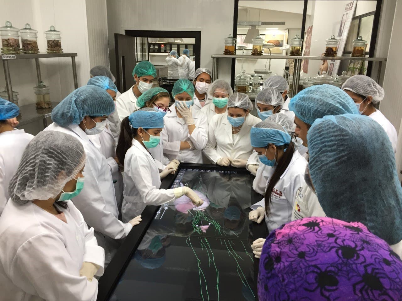 El Ministerio de Educación de Ecuador debe resolver el inusual caso de una niña superdotada que, a sus doce años, acaba de completar el preuniversitario de medicina y desea seguir en la facultad a pesar de que no ha terminado ni la escuela primaria.