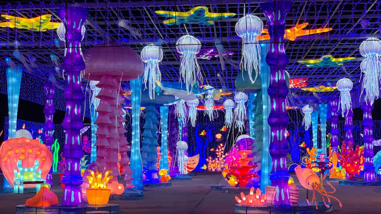 La sección The Sea incluye la vibrante y colorida vida submarina, desde corales hasta medusas gigantes.