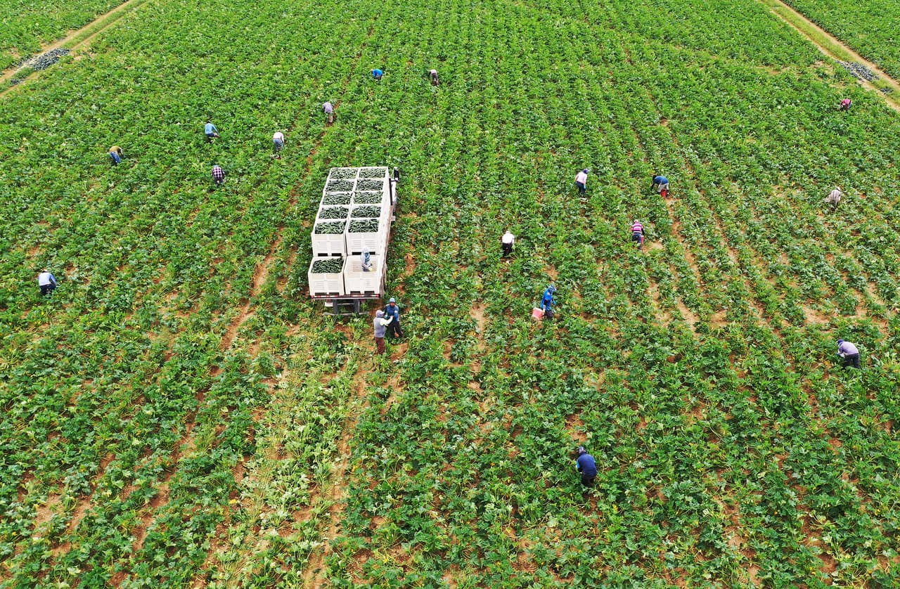 Algunos de los distribuidores se preguntan cómo es que, a pesar de la situación de emergencia por el coronavirus, el gobierno no ha hecho nada al respecto.
<br>