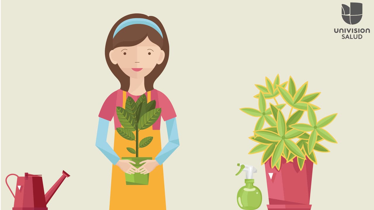 Realice actividades como jardinería en su propia casa.