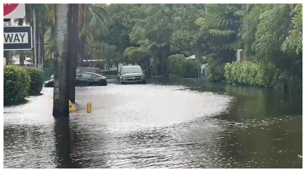 La isla de Key Biscayne sufrió con las fuertes lluvias de la madrugada del sábado y sus calles también amanecieron saturadas de agua.