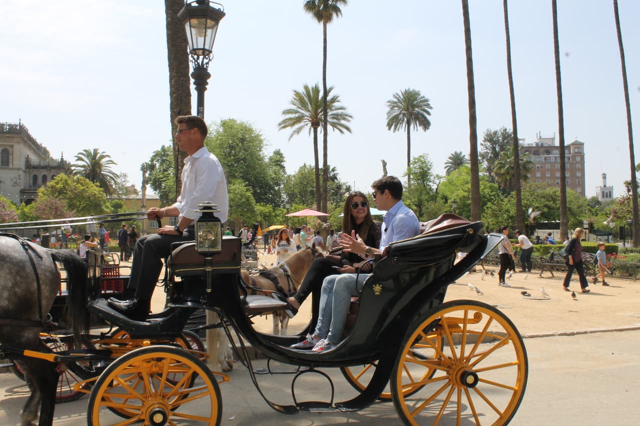 Ya al final del paseo Clarissa le agradeció a Danilo por la invitación y por una tarde tan especial en donde no solo conocieron uno de los lugares más bellos de Sevilla sino que además se pusieron al día con sus planes y proyectos.
<br>