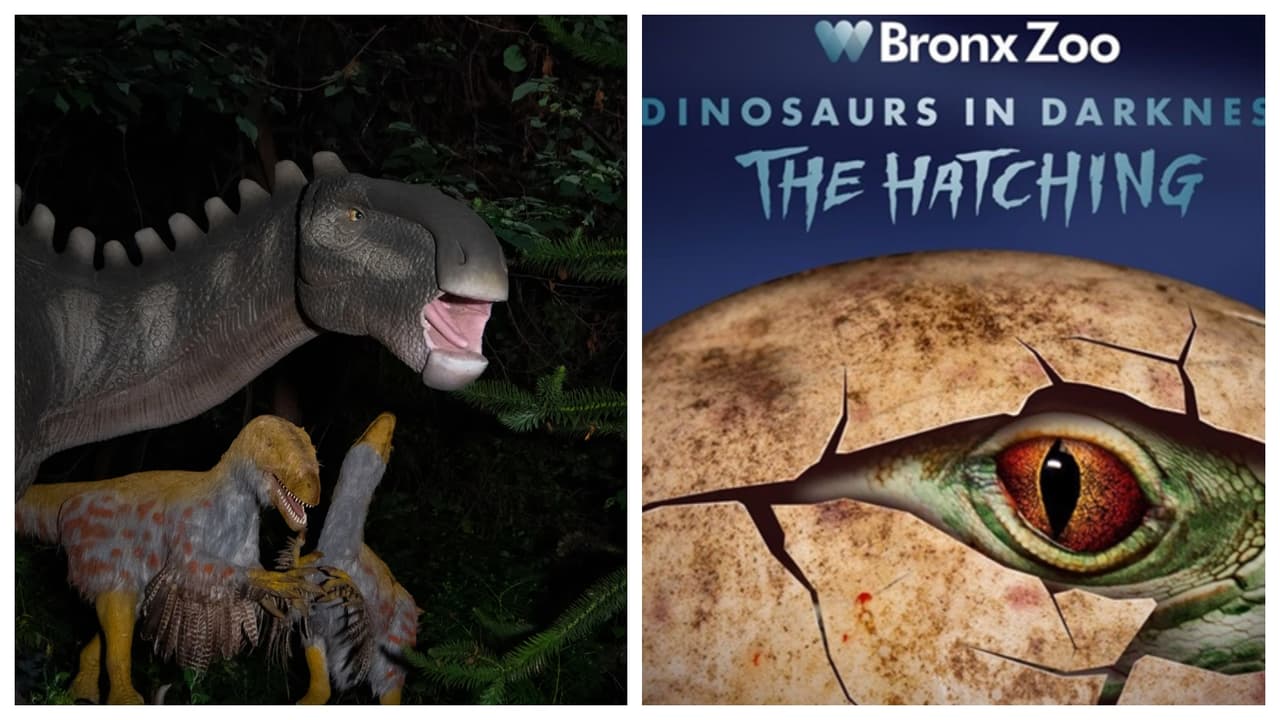 Bronx Zoo estrena ‘Dinosaurios en la oscuridad’ su primer atracción nocturna del otoño