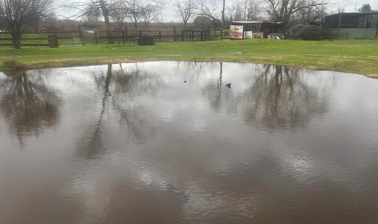 En nuestro
<a href="https://www.facebook.com/noticias45houston/posts/pfbid0vHxGkmw5Wpnxf7ZDyjgadXDxXzpcKWNhXGZTwgno7xLngNCbZdRYaX6hQjtFxtDzl" target="_blank">Facebook</a>, pedimos a los seguidores que nos enviaran fotografías de las inundaciones y desastres que dejó el paso de la tormenta.