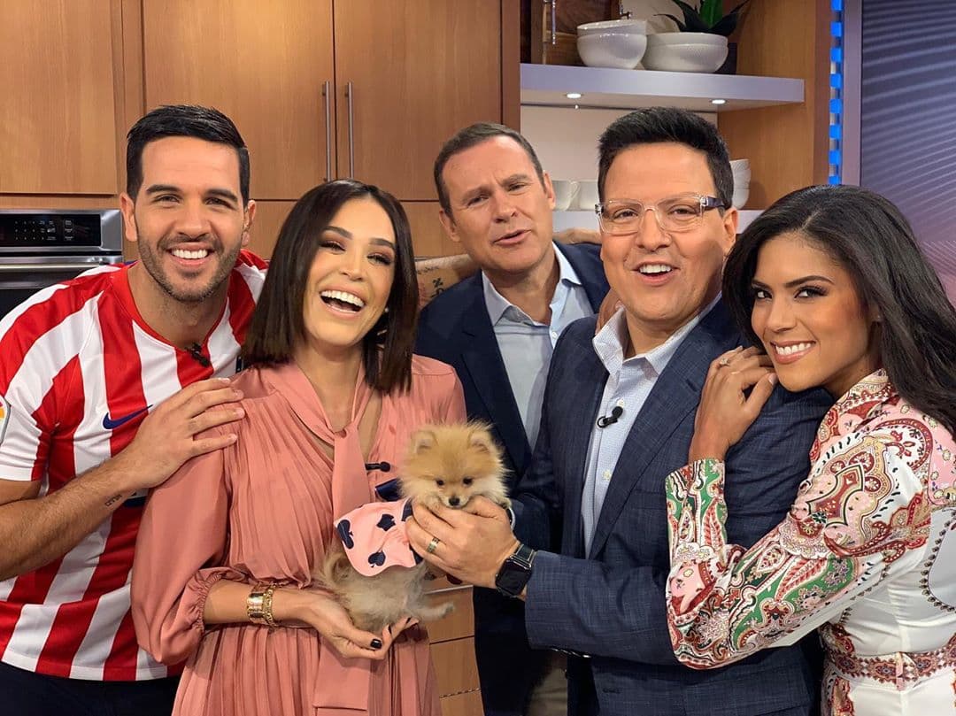 En Despierta América nos encantan las mascotas y por nuestro show han pasado perritos tan encantadores como Bombom, para alegrar nuestras mañanas. Pero nuestros conductores también gozan de la compañía de sus peludos amigos en casa y aquí te presentamos a sus más tiernos amiguitos.