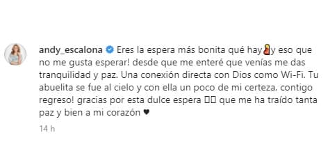En su publicación agregó un tierno mensaje en el que anhela la llegada del hijo que tendrá con su novio Marcos Estrada. "Eres la espera más bonita que hay (y eso que no me gusta esperar), desde que me enteré que venías me das tranquilidad y paz", se lee en una parte de su post en Instagram.