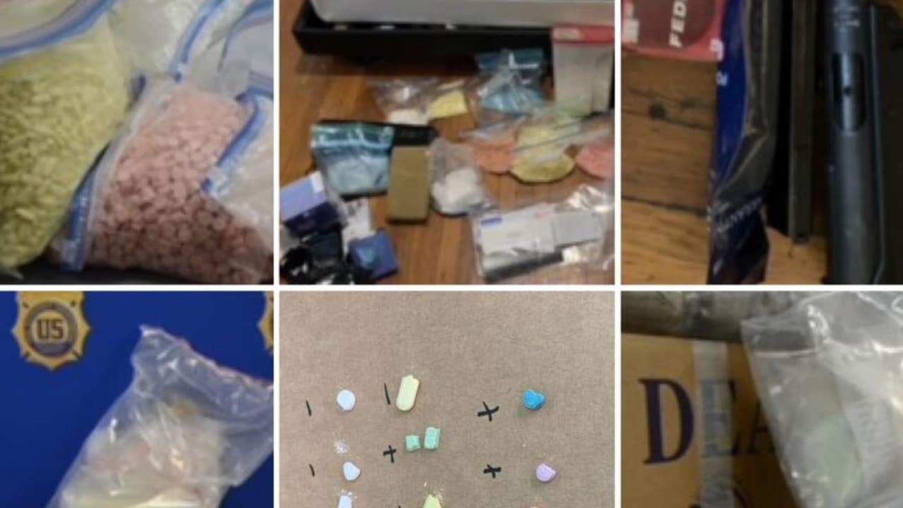 Operativo antidrogas “Dark Nodes” deja 12 sospechosos detenidos         