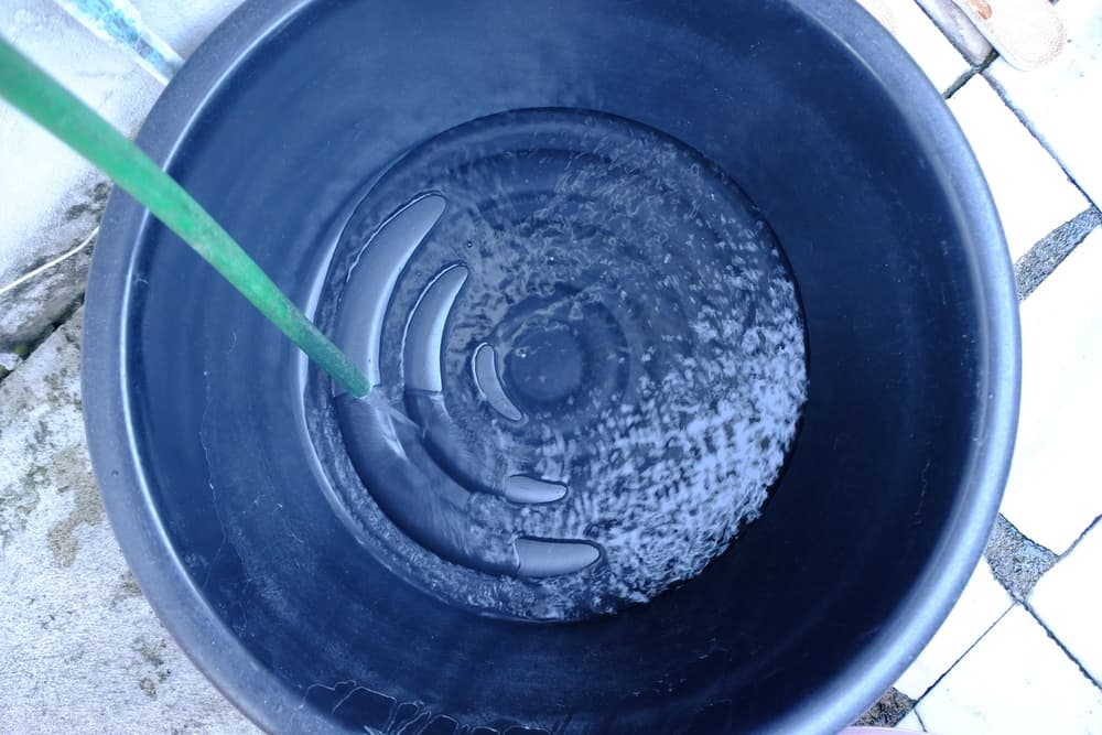 Ahora procederemos a hacer la 'limpia', así que en una cubete o balde agrega suficiente agua.