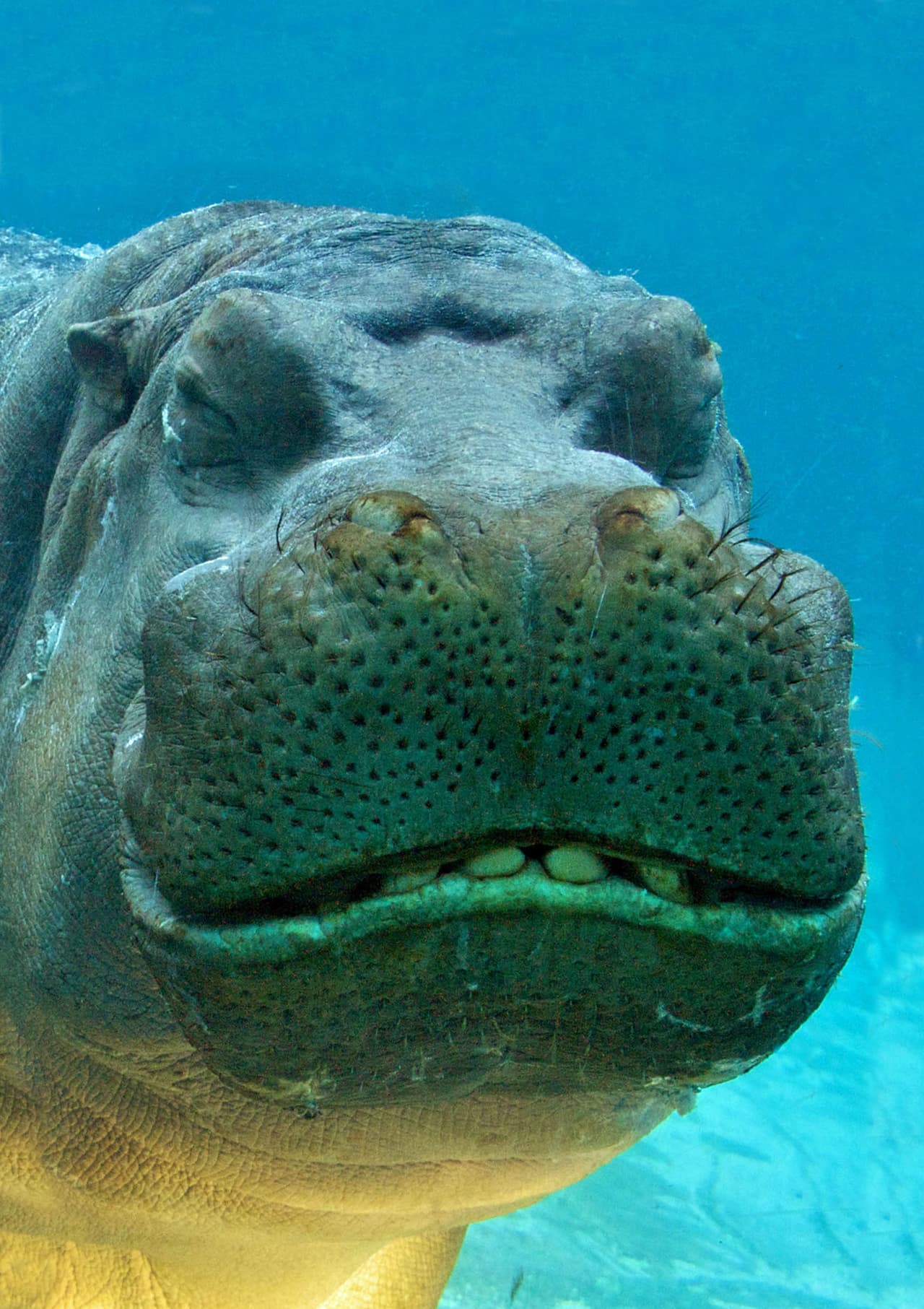 Ella sólo esboza una media sonrisa porque anda un poco amargada.