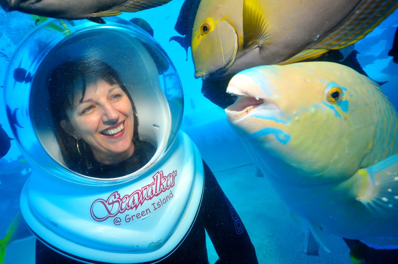 Hablando de agua, hay algunos peces que también quieren lucir su belleza.