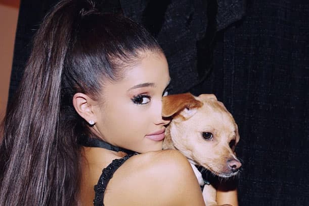 Seguro muchos envidian al pequeño Toulouse. La cantante ha demostrado que adora a este pequeñito.