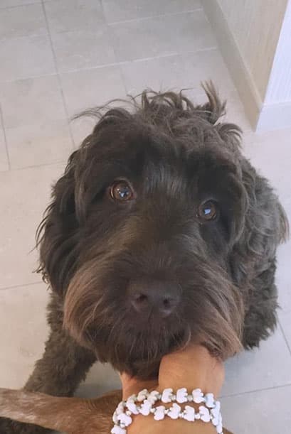 Pero también hay otros dos amiguitos de los cuales está totalmente enamorada.