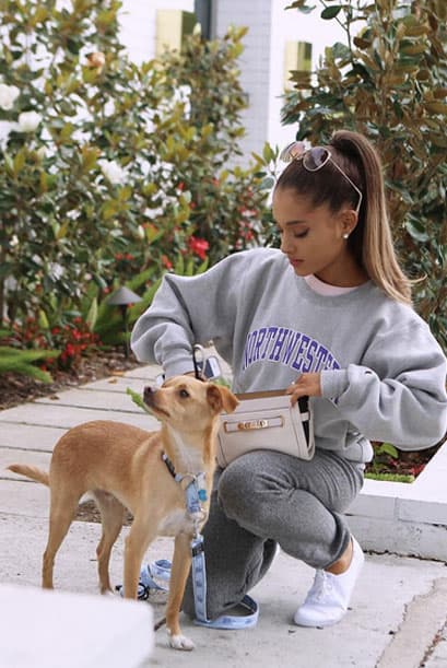 ¿Sabían que su mascota estuvo considerada para ser la imagen de una de las campañas de Coach?