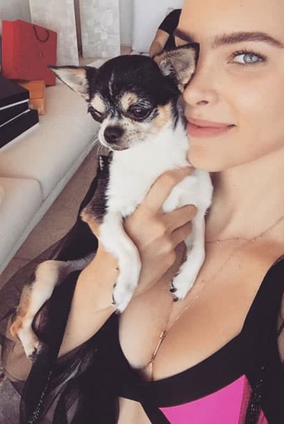 Este pequeño chihuahua lo compró en Hong Kong en 2010 por la cantidad de 5 mil dólares.