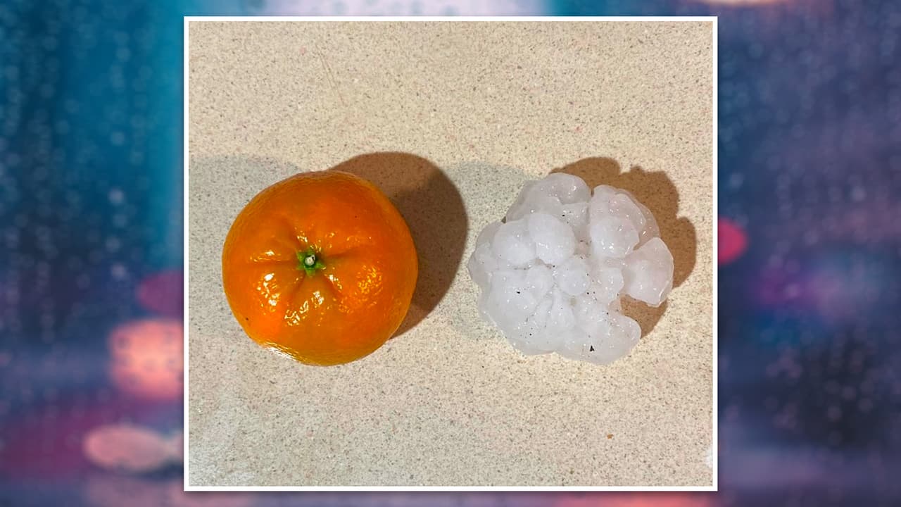 Araceli Franco compartió a través de nuestra plataforma Repórtalo una muestra del granizo que cayó al sur de la ciudad de Fort Worth, “igual que una mandarina” nos comentó.