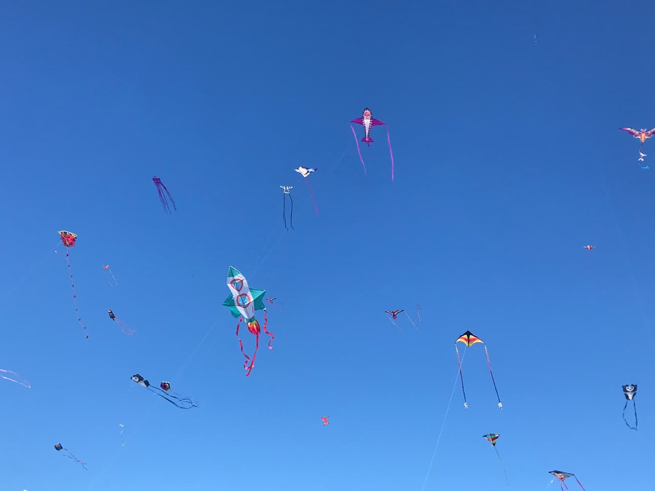 Dragones multicolores, aeroplanos de distintos tamaños, pulpos aéreos, barcos piratas, mariposas, duendes, hadas y hasta superhéroes; alzaron vuelo entre risas, música, helados y el asombro de locales y turistas.
<br>