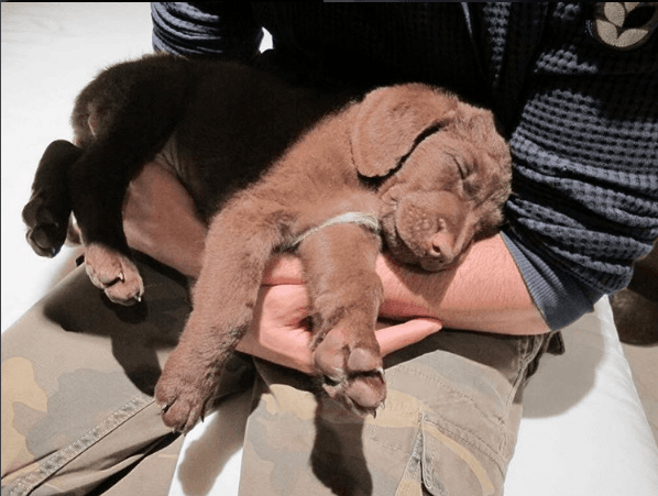Desde pequeñín, este ha sido el mejor amigo del cantante de 'Duele El Corazón', tema por el que está nominado en esta entrega de Latin GRAMMY.