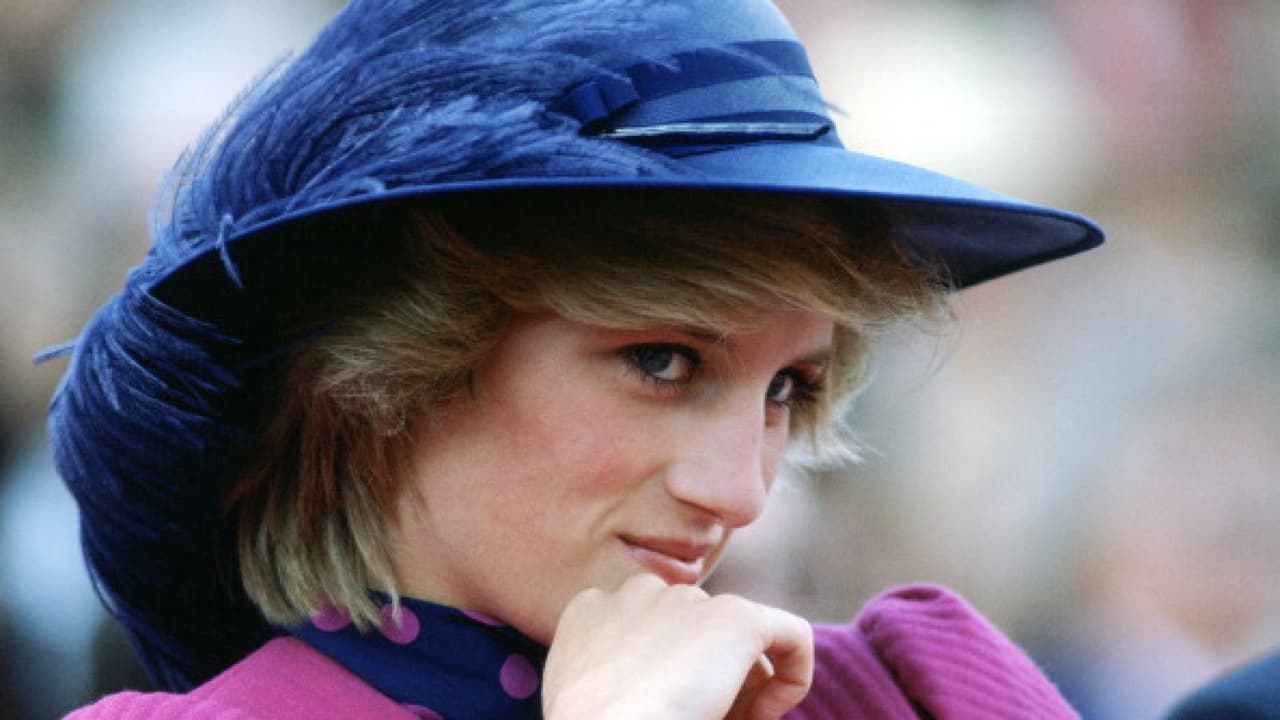 En medio de todo esto, este 2021 es un año muy particular para ellos, pues Lady Diana, quien falleció en agosto de 1997 
<b><a href="https://www.univision.com/famosos/muerte-de-lady-diana-sus-ultimas-fotos-con-vida-el-fatal-accidente-en-paris-y-lo-que-revelo-la-autopsia-fotos" target="_blank">cuando era perseguida por paparazzi</a></b> en París, habría cumplido 60 años. 
<br>