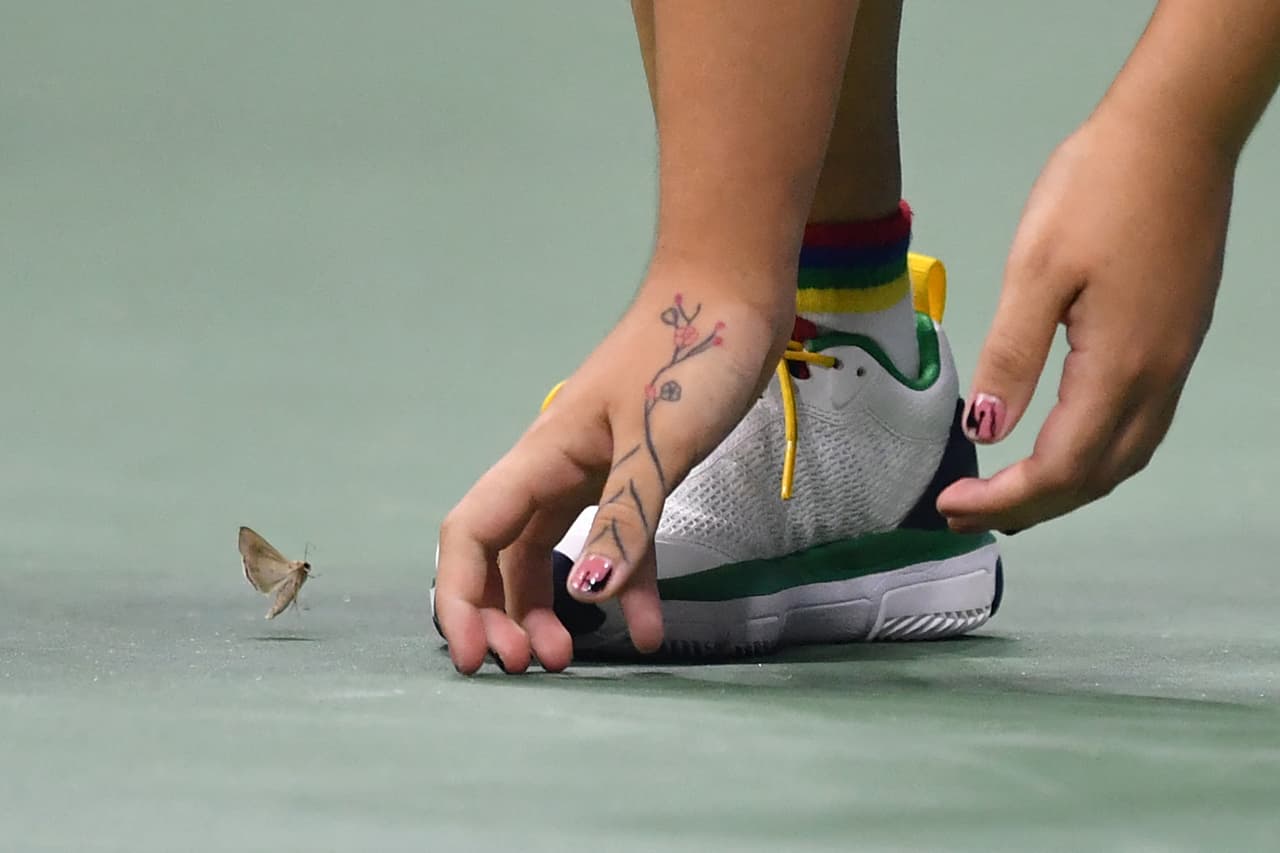 De acuerdo con Michael Madsen del 
<i>Tucson Botanical Gardens, </i>
<b>las polillas son inofensivas</b> para los humanos.