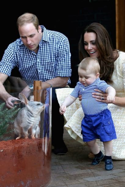 El pequeño animalito, al que nombraron 'George' en honor al hijo de los duques, se mostró muy amable con el futuro rey.
