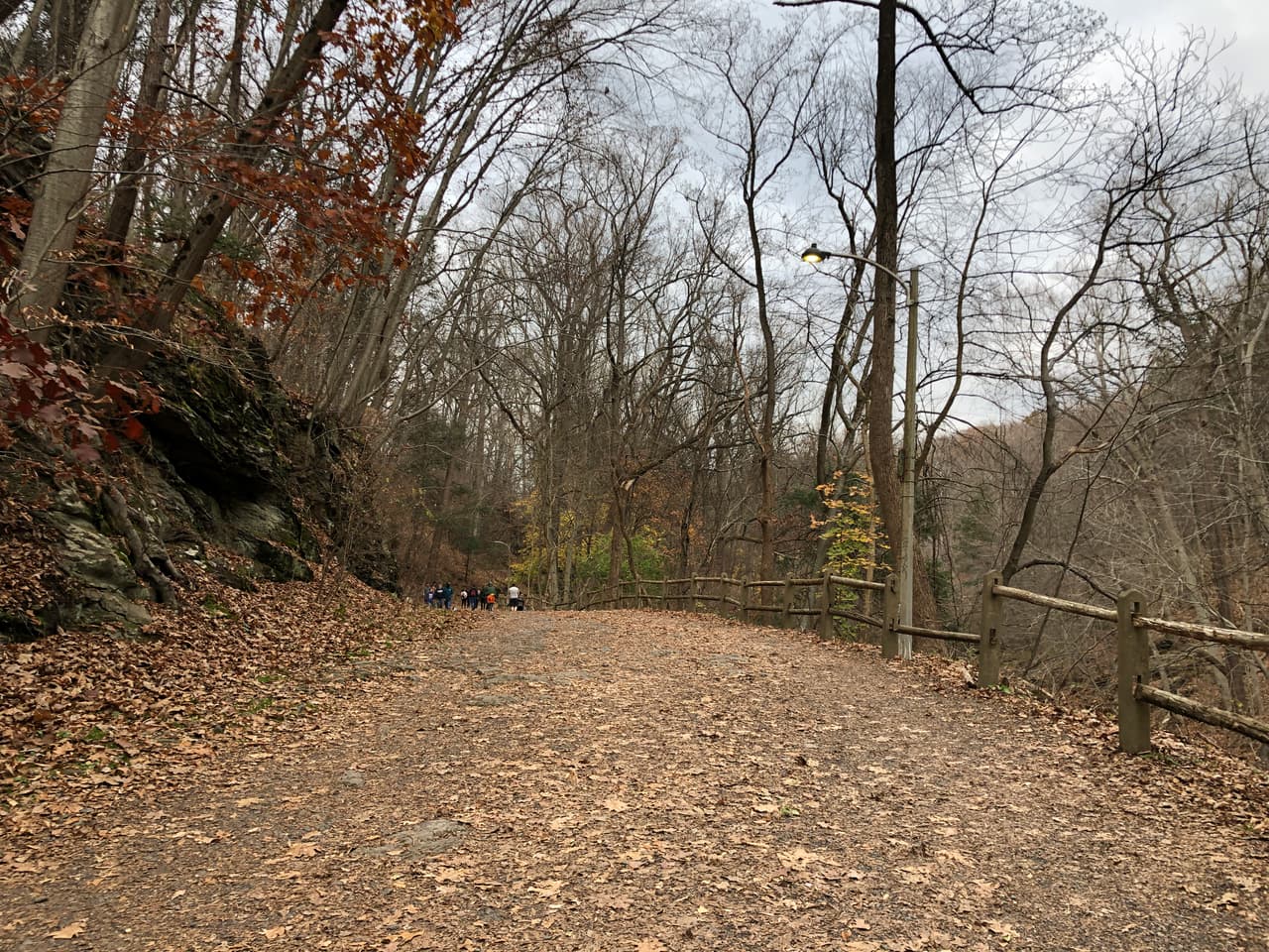 Forbidden Drive y Lincoln Drive Trails son parte de Circuit Trails, una red urbana de senderos en desarrollo de 800 millas en el área metropolitana de Filadelfia, de las cuales aproximadamente 350 millas están actualmente completas.
<br>