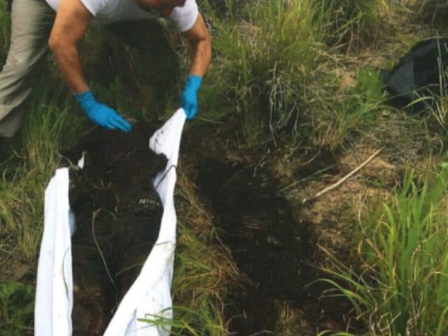 Patrulla fronteriza halla los cuerpos de 3 inmigrantes al sur de Texas