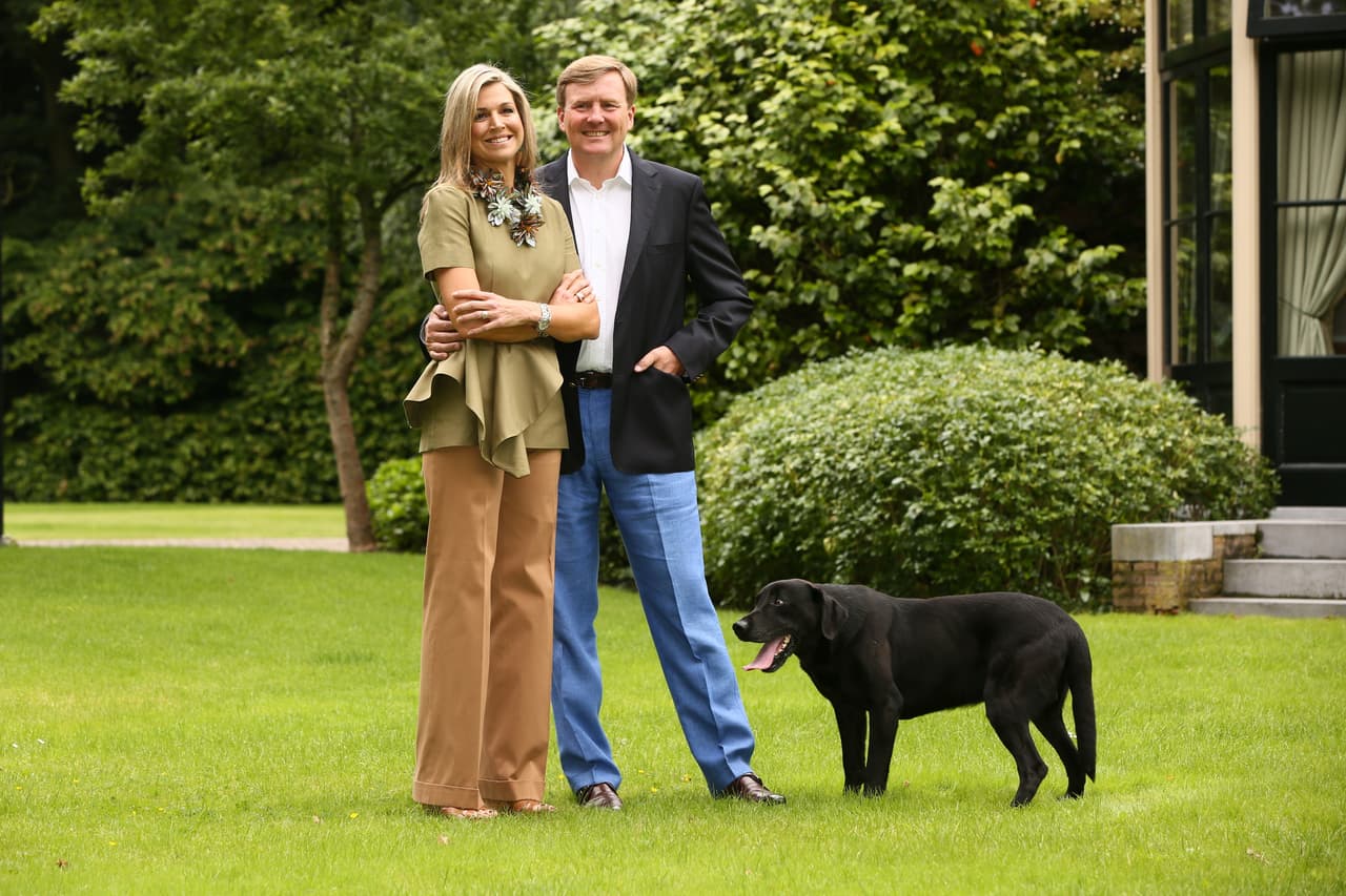 Sus encantadores perros los acompañaron para las fotos.