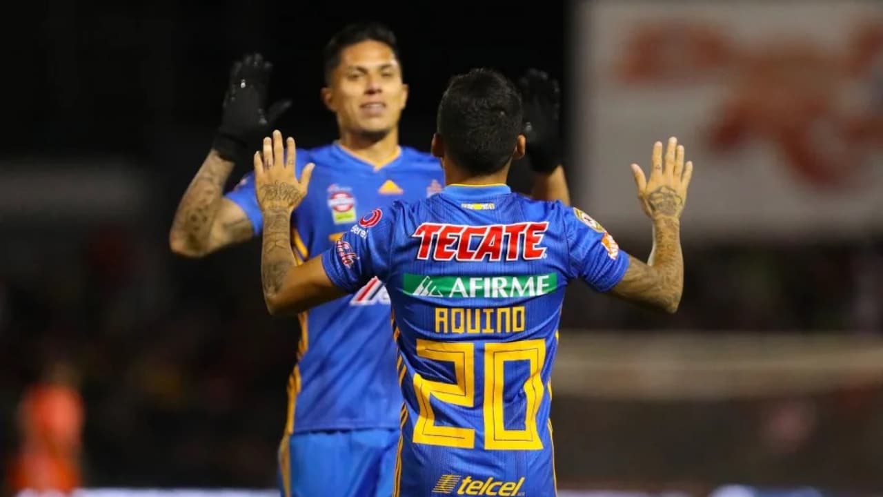 Para Zaldívar, Tigres no ha superado la Final perdida ante Chivas