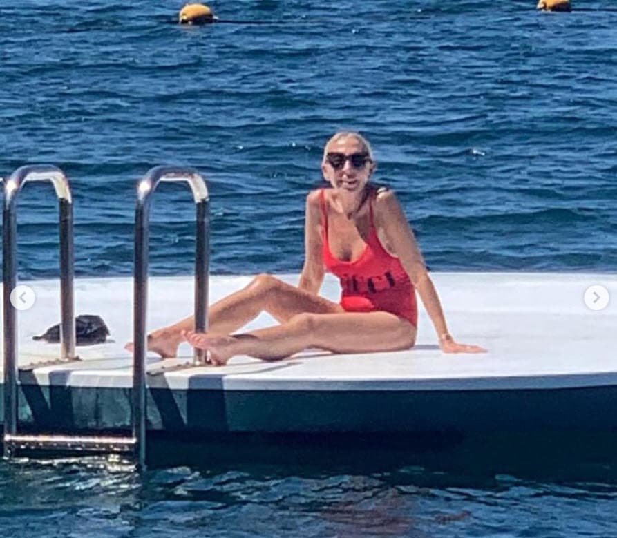 De acuerdo con la reseña de Reforma, el 8 de febrero de ese año, Bozzo "propuso al SAT que se decrete el embargo de 'un bien inmueble de su propiedad' para garantizar la deuda, pero el organismo hacendario rechazó la oferta".
<br>